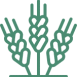 ico_1 ico_1