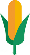 ico_12